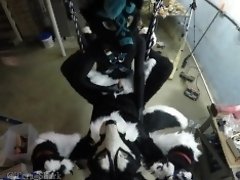 Murrsuiter gets pegged hard by a dominatrix in a swing|5::Anal,6::Amateur,12::Cumshot,17::Fetish,38::HD,46::Verified Amateurs,54::Bondage,60::Rough video on WebcamWhoring.com