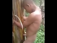 FUCKING IN A BANANA TREE video on WebcamWhoring.com