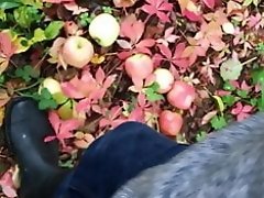 Wife sucks cock in a apple orchard video on WebcamWhoring.com
