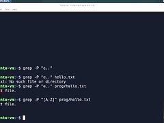 01.06 Command Line Basics - Grep and Find video on WebcamWhoring.com